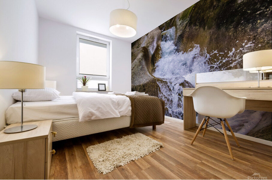Basin Mural print