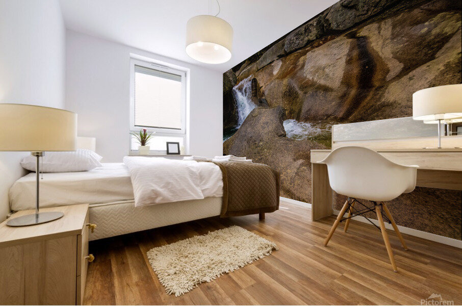Basin Mural print