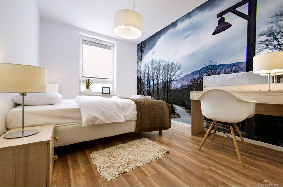 White Mountains  Mural print