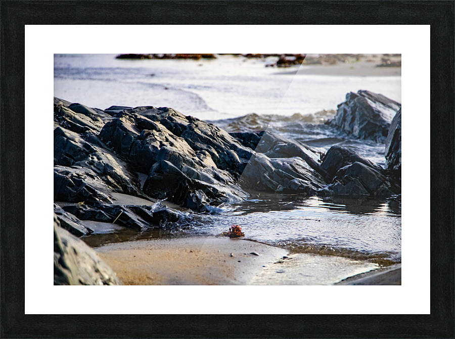Lifes a beach Picture Frame print