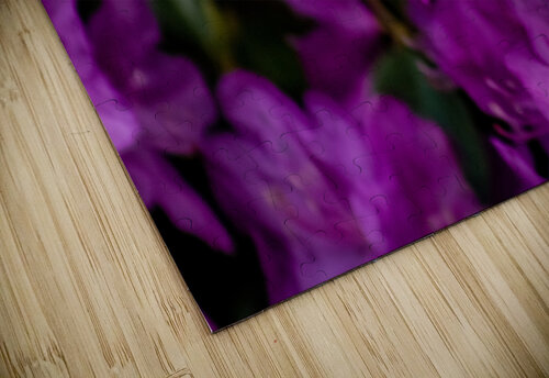 Busy bee Abstract Life Photography puzzle