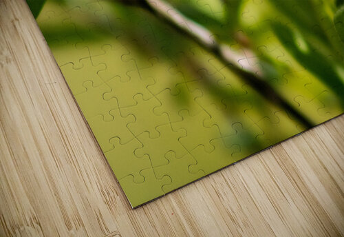 Lovely lady Abstract Life Photography puzzle