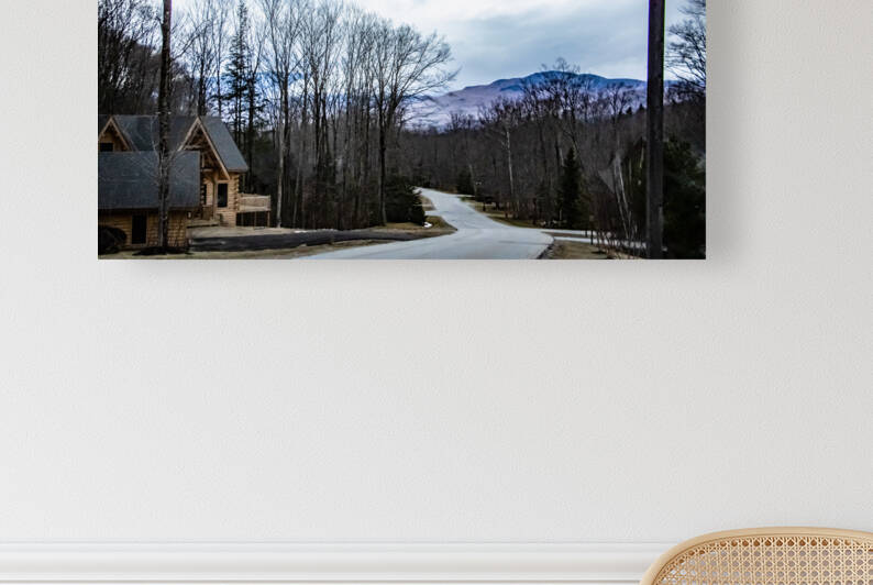 White Mountains  Reproduction