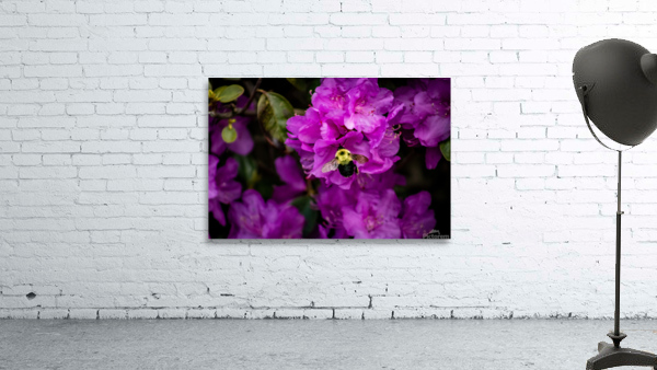 Busy bee Wall Preview