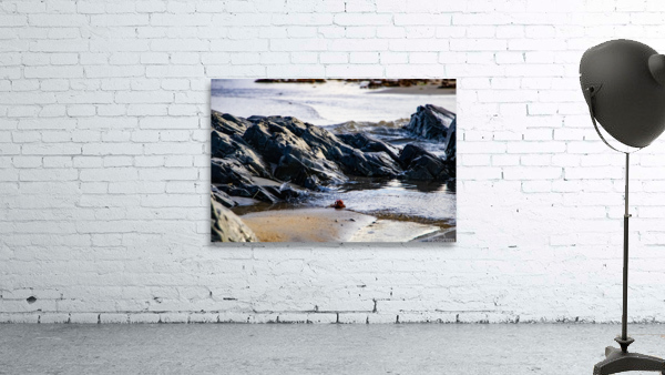 Lifes a beach Wall Preview
