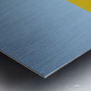 Terra Ukraine Metal print