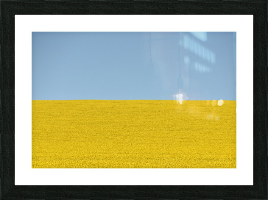 Terra Ukraine Picture Frame print