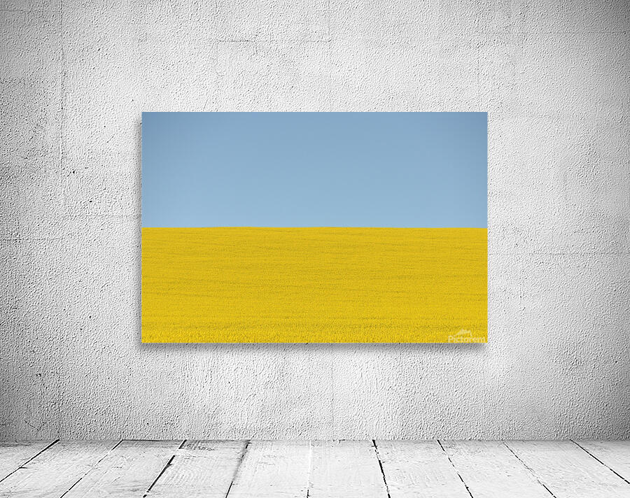 Terra Ukraine Wall Preview