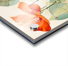 Vibrant Orange Flowers on White Acrylic print