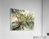  Verdant Sprig Acrylic Print