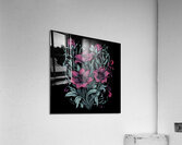 Pink and White Flowers Acrylic Print
