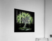 Serenity in Black and White Acrylic Print