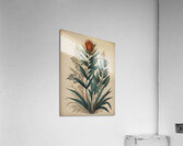  Tropical Elegance Acrylic Print