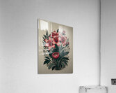 Blush Blooms Acrylic Print