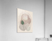 Botanical Study of Leaves and Branches Acrylic Print
