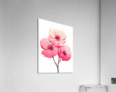 Delicate Beauty Acrylic Print