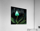  Emerald Bloom Acrylic Print