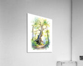 Sunlight Through the Trees Acrylic Print