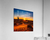 Desert Dreamscape Acrylic Print