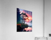 Silhouetted Tree at Sunset Acrylic Print