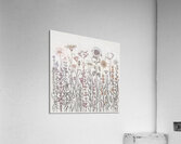 Wildflower Field Acrylic Print