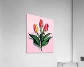 Vibrant Bloom Acrylic Print