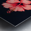 Elegance in Bloom Metal print