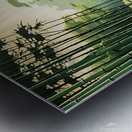 Serene Bamboo Pathway Metal print