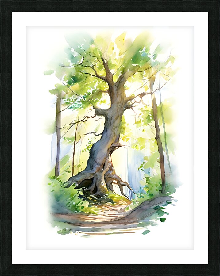 Sunlight Through the Trees Picture Frame print