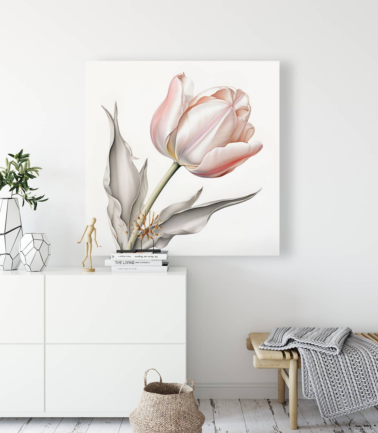 Delicate Pink Tulip in Bloom Reproduction