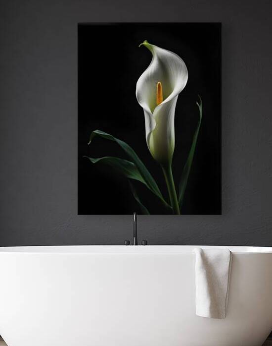 Elegant Calla Lily in Dramatic Light by Artshop