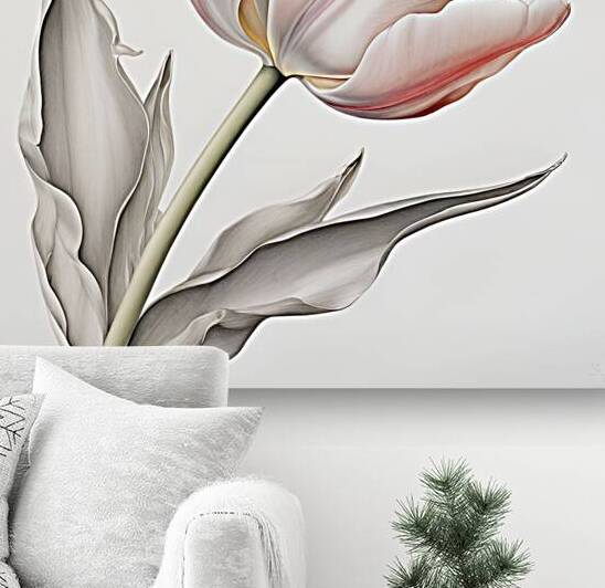 Delicate Pink Tulip in Bloom Reproduction