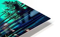 Tranquil Bamboo Forest HD Metal print