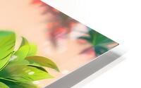  Indoor Greenery HD Metal print