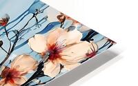  Summer Blush HD Metal print