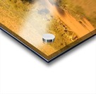 Kalahari Reflections Acrylic print