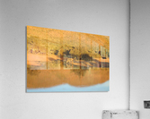 Kalahari Reflections Acrylic Print