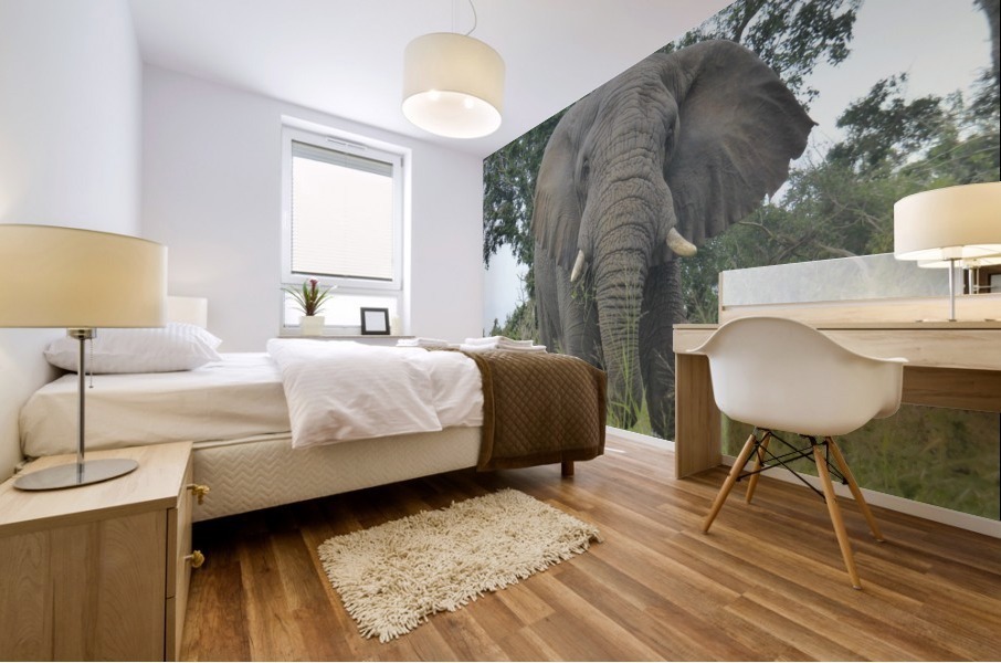 Big Nature Mural print