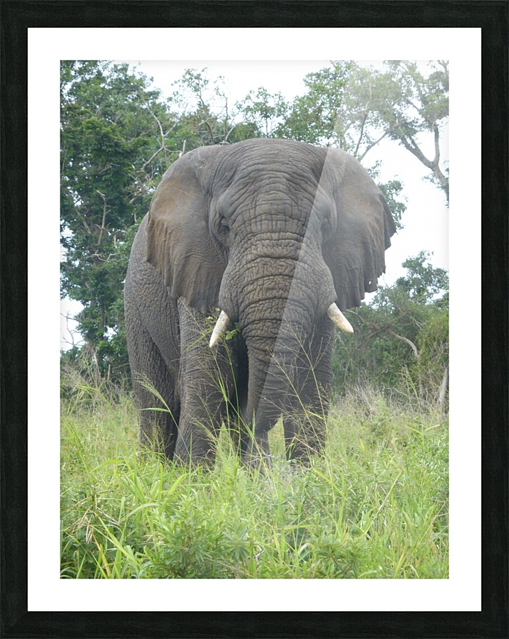 Big Grey Picture Frame print
