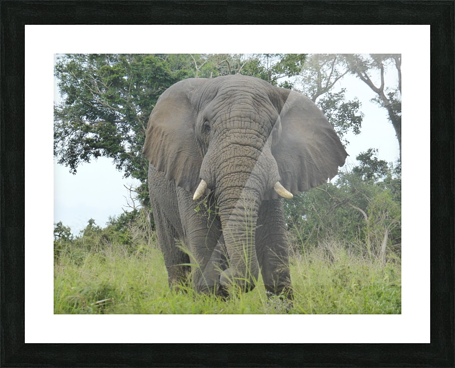 Big Nature Picture Frame print
