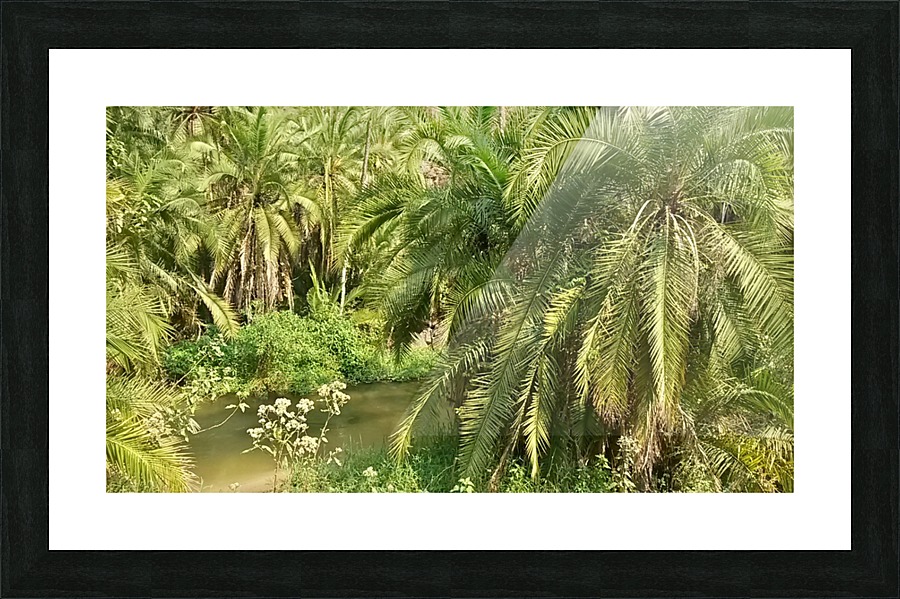 Zambia Untamed Picture Frame print