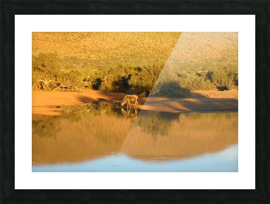 Kalahari Reflections Picture Frame print