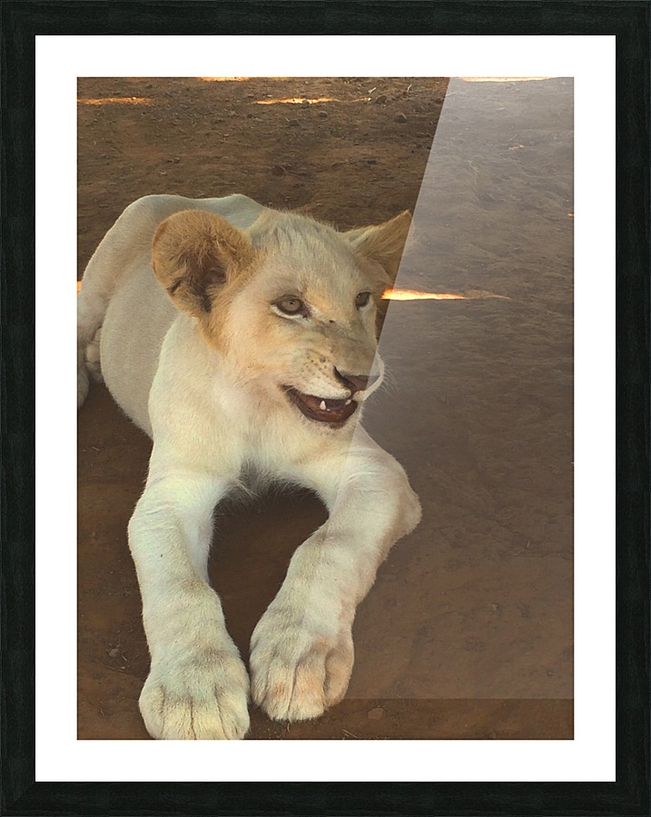 Let me ROAR 2 Picture Frame print