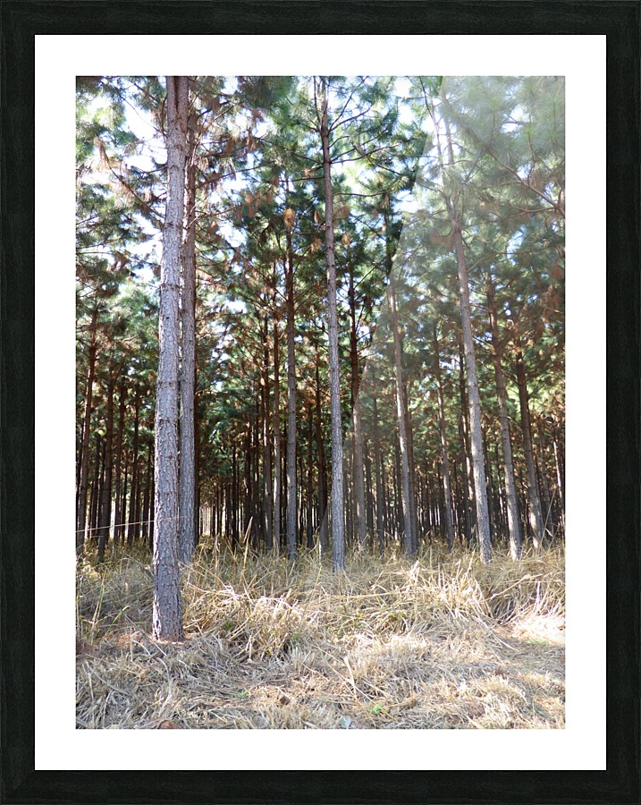 Timbarland Picture Frame print