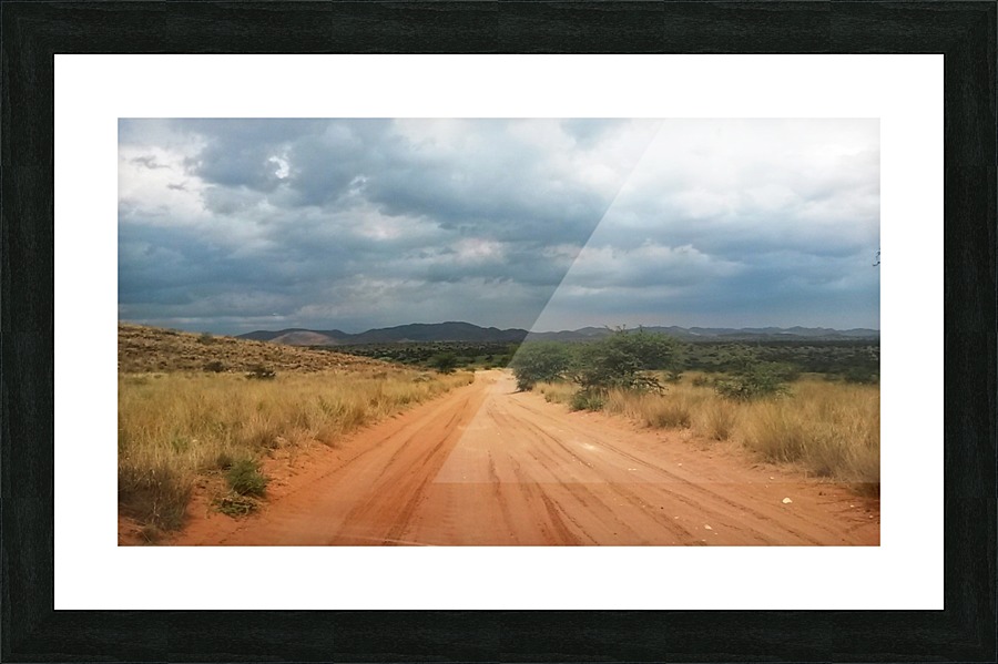 Into the Kalahari Picture Frame print