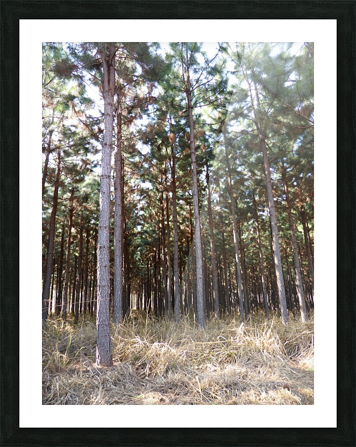 Woodlands Picture Frame print