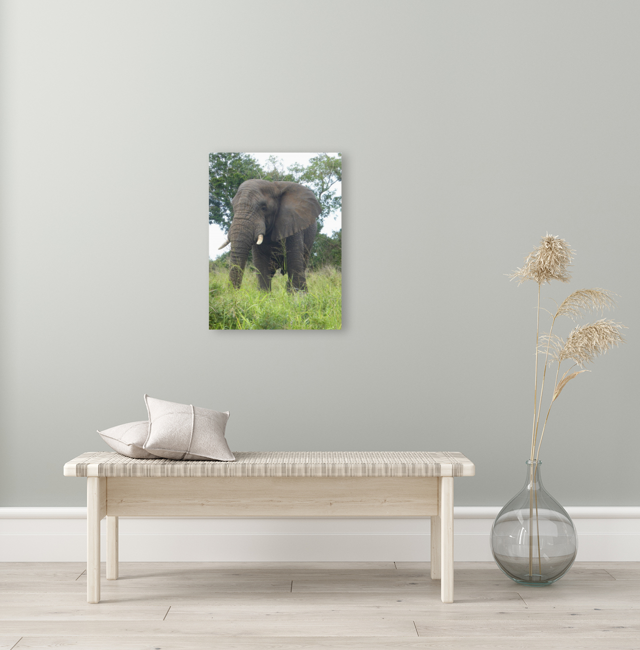 African Elephant Reproduction