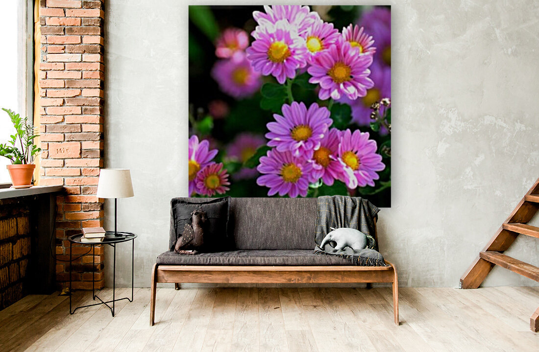 Daisy Bush Reproduction