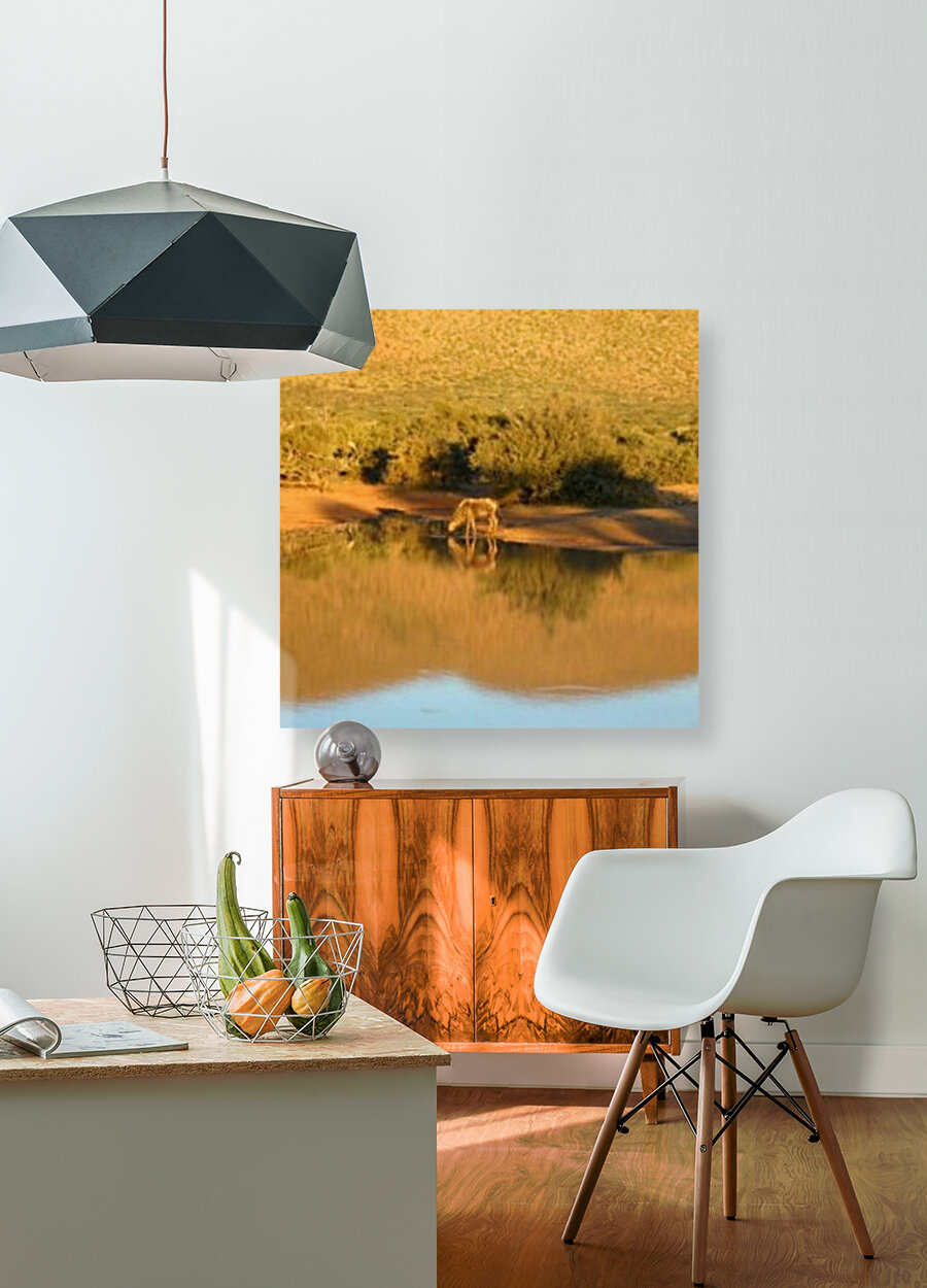 Kalahari Reflections Reproduction