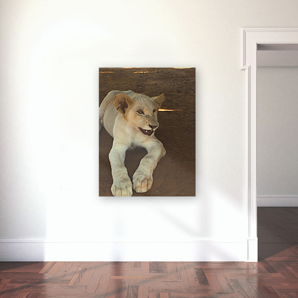 Let me ROAR 2 Reproduction